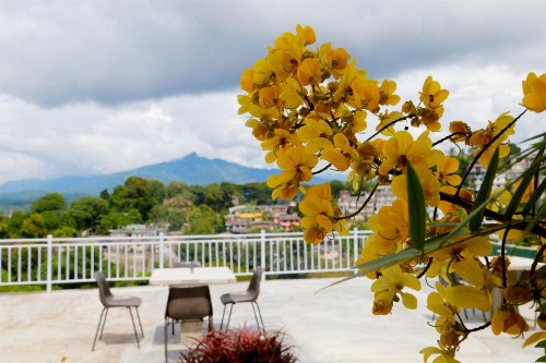 Villa Serene image 32
