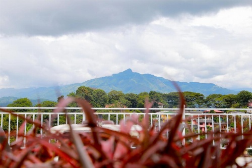 Villa Serene image 35