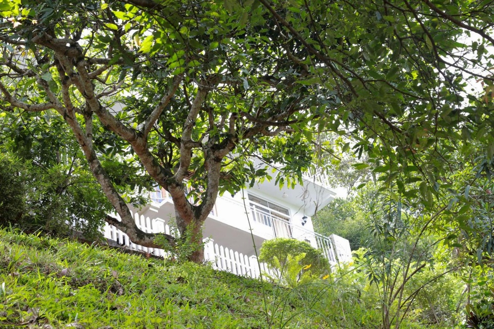 Villa Serene