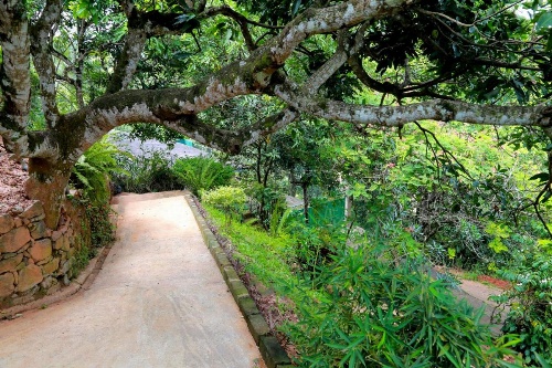 Villa Serene image 5